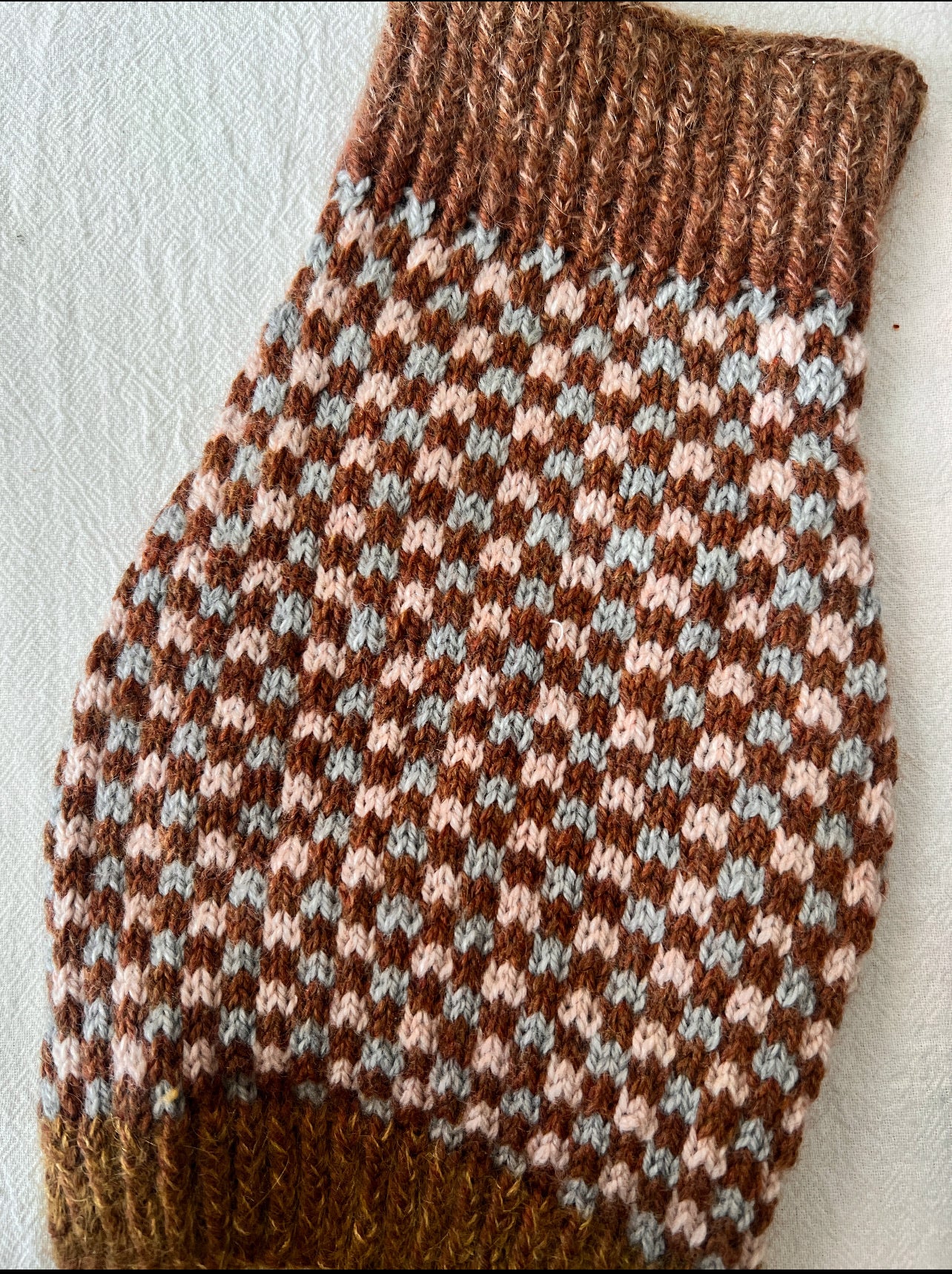 The Room x Knit Together | Pet Sweater Knitting kit